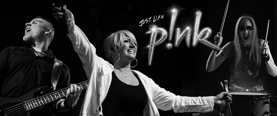 Just Like Pink - The Pink Experience